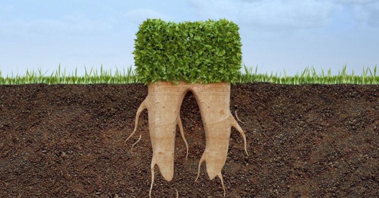 Four Best Periodontal Marketing Ideas To Increase Your Revenue