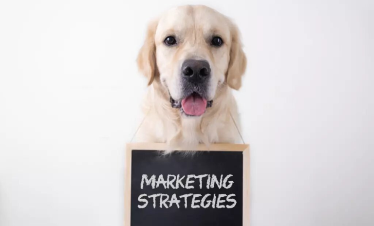 Pet Business Marketing: 6 Proven Strategies to Maximize Your Efforts